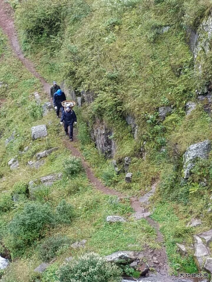 10千伏大黑线接地大海供电所奋力抢修1000余户村民有电用