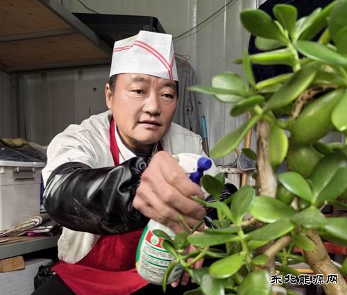 ��ʦ�������ġ������¡�