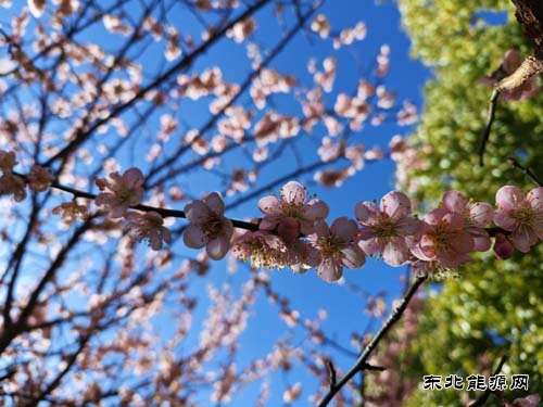 ��ѧ�㣺��;