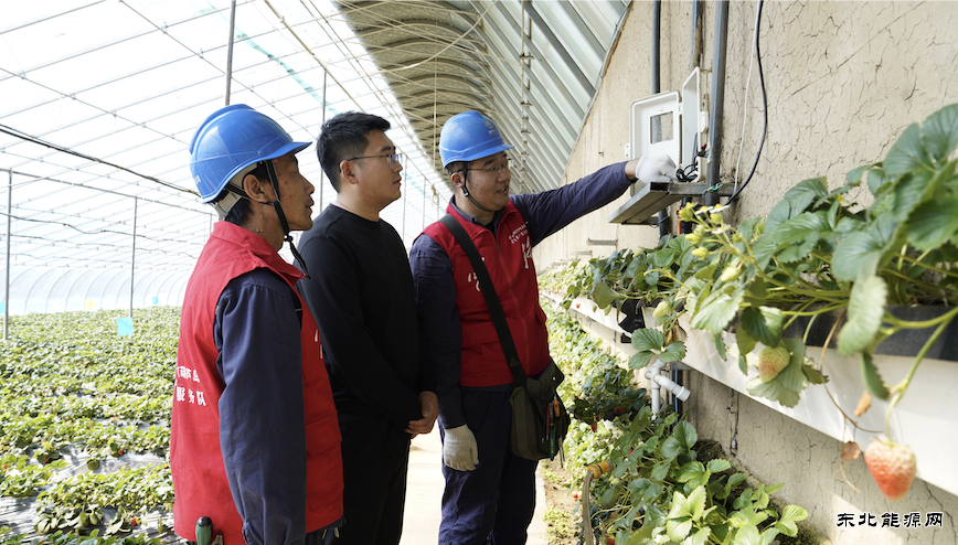 ������«�����磺�ػ����ܴ��� ������ݮ����ʱ��