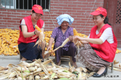 ̫���ع��繫˾������־Ը��־Ը����������