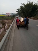 ��ɽ���� Ѱ�ҡ���֡������衱