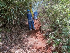 ���󹩵����µ��������ʵӪ������ȷ�������ʴ�100%