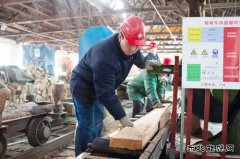 博大公司木材煤炭加工厂大力开展“提质增效年”活动