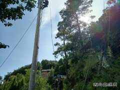 ����ǻ��ζ���Ӱ������߻��󹩵�ֽ������޸���