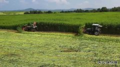 绥棱林业局公司:汉麻“废料”将变清洁能源 循环经济绘就产业新