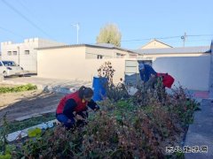 国网巴林右旗供电公司:庭院扫净映初心 舞姿翩跹暖桑榆