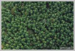 ���ʡ��ɡ��� ���ݡ��ơ���