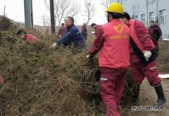 �������ݲݻ�����