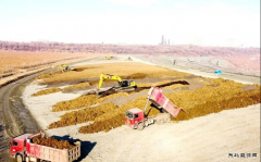 �����ţ������չٲ��ɾ� ʵ�ɹ���Ӯȫ��