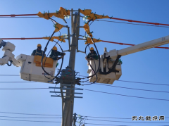 �����������칩�繫˾����������ǿ���� ��ѧ�ٸɱ�����