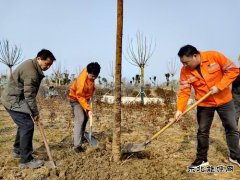 ��ú�¼���ȫ���֣�������ɫ�� ������̬��