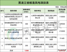 ��������׼1GW�����Ŀ��