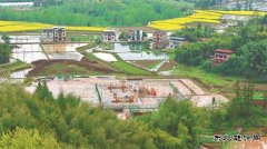 ����������ҳ�������������ϲ�