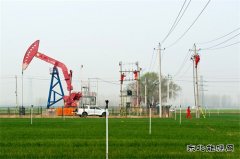 ��������æ ȷ��������