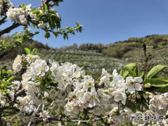 �±���ҵ������ú̿��˾���ӻ�ɽ�µ����򿨵ء�