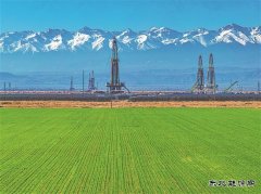 ����ΡΡ������